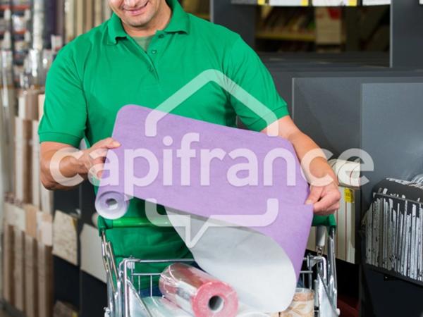 entreprise de peinture avec show room, à vendre proche de DOUE EN ANJOU (49)