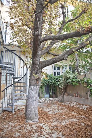 Aix-en-Provence (13100) T1BIS 40 M2 AU SOL AVEC BALCON AU CALME ABSOLU DU CV HISTORIQUE