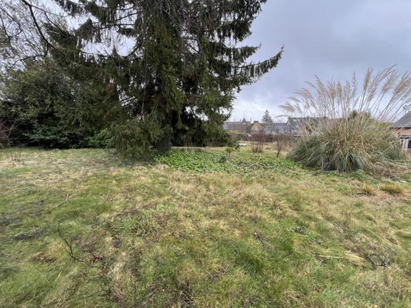 Saint-Aubin-d'Aubigné (35250) Terrain constructible