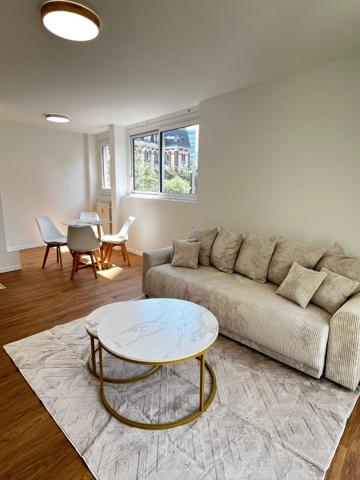 Appartement de 36 m2 avec balcon refait à neuf - Paris 15