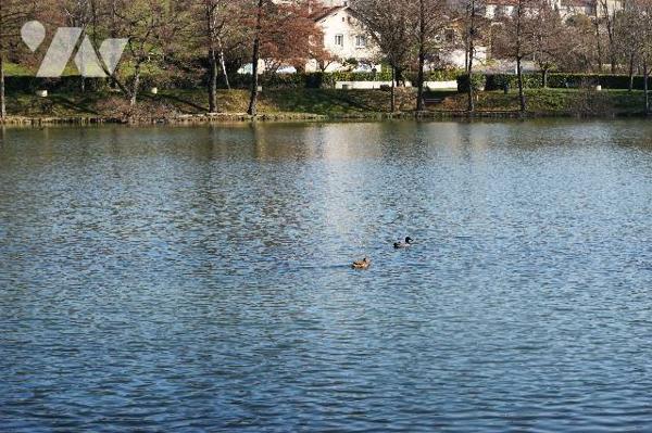 Villa au calme avec 4 140 m² de terrain