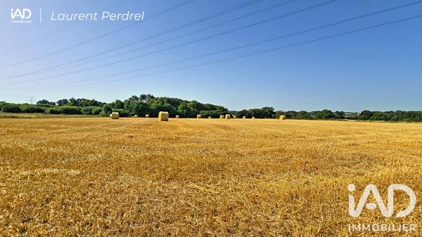 Maison à vendre 3 pièces 55 m² Allaire