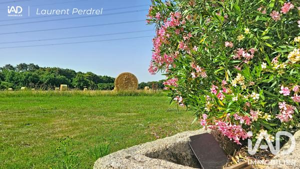 Maison à vendre 3 pièces 55 m² Allaire