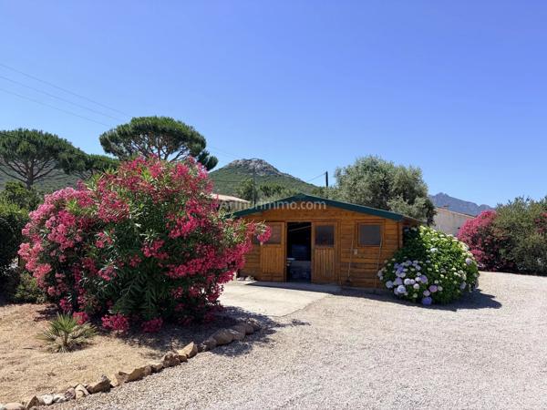 Vente                                                      Villa
                        
                     5 pièces                      111 m2                     à Calenzana