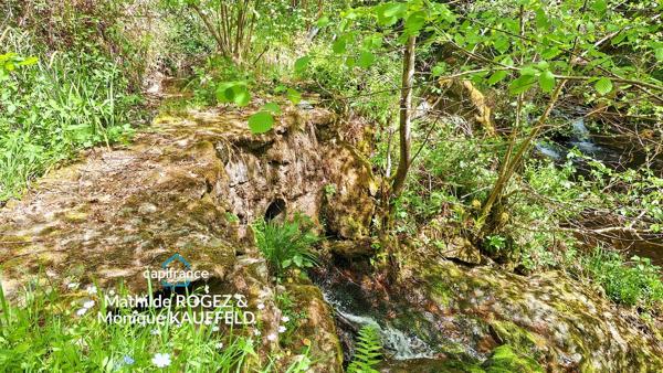 Ancien moulin au cœur de la nature – 123m2, 6p - cadre exceptionnel
