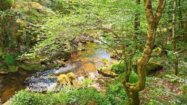 Ancien moulin au cœur de la nature – 123m2, 6p - cadre exceptionnel