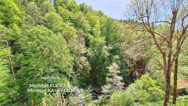 Ancien moulin au cœur de la nature – 123m2, 6p - cadre exceptionnel