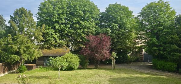 Terrain
        
        - 590 m² 175 000 € *