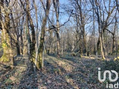 Terrain à vendre 2 465 m² Domme