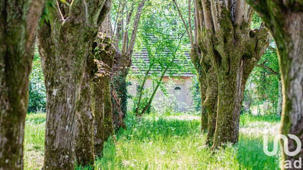 Terrain à vendre 981 m² Montferrand-le-Château