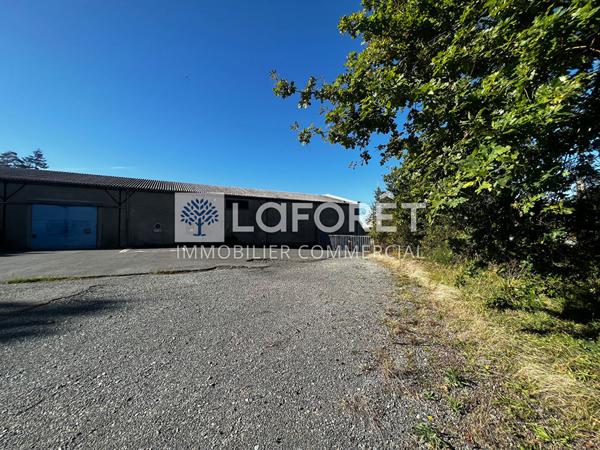 Location local commercial Bressuire - 610 m² - 1 879 €/mois
