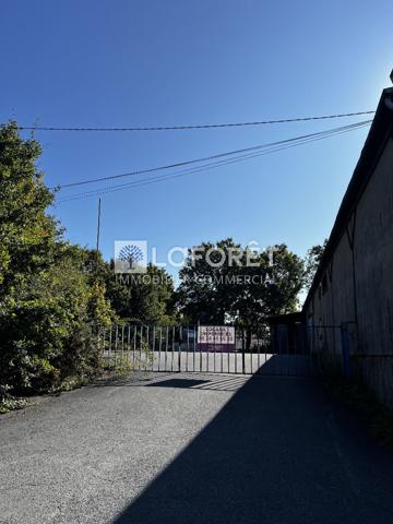 Location local commercial Bressuire - 610 m² - 1 879 €/mois