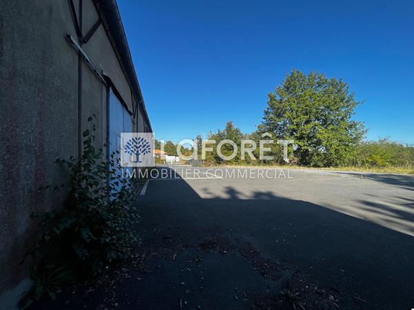 Location local commercial Bressuire - 610 m² - 1 879 €/mois
