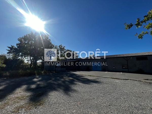 Location local commercial Bressuire - 610 m² - 1 879 €/mois