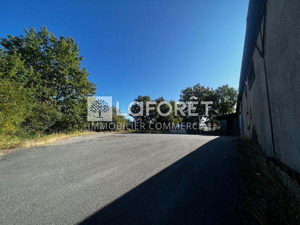 Location local commercial Bressuire - 610 m² - 1 879 €/mois