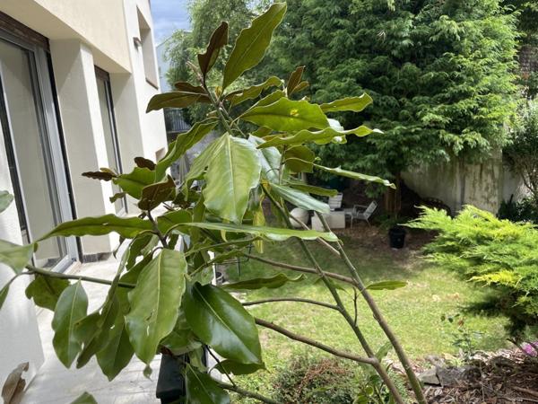 Maison d’architecte dans un domaine privé aux portes de Saint-Germain-en-Laye