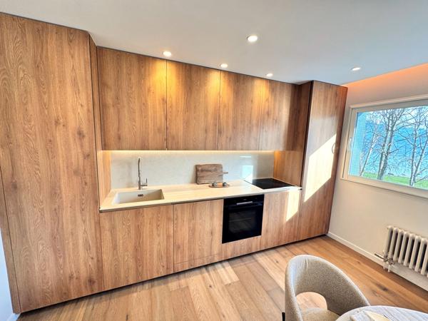 Magnifique appartement T3 face au lac