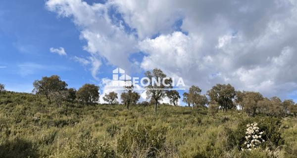 À vendre Terrain 3786 m² - La Londe-les-maures 83250