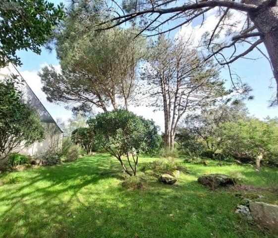 Maison à vendre à La Trinité-sur-Mer dans le Morbihan (56470), ref : 35009/CM-305