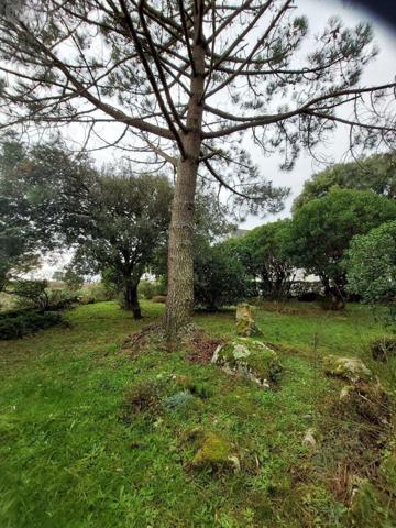 Maison à vendre à La Trinité-sur-Mer dans le Morbihan (56470), ref : 35009/CM-305