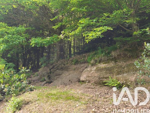 Terrain à vendre 3 714 m² Troisfontaines