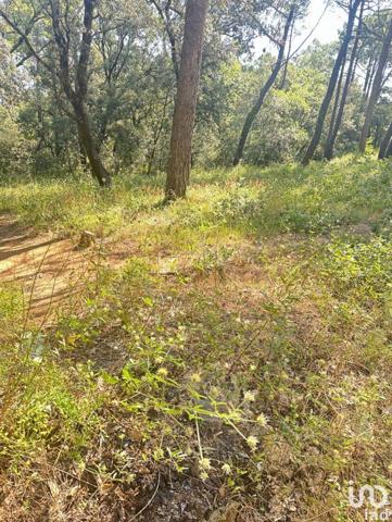 Terrain à vendre 344 m² Suze-la-Rousse