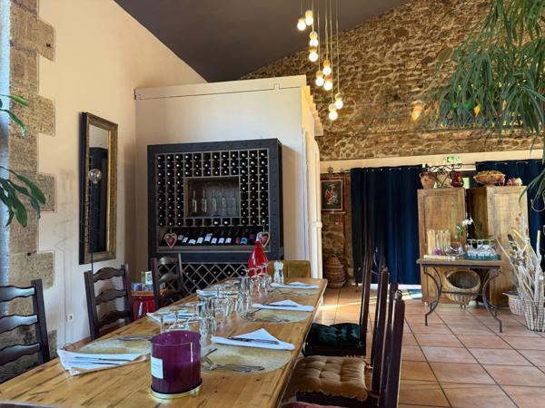 Maison en pierre à vendre 10 pièces ,appart.132 m2 ,surface annexe 314 m2 + Piscine et Bassin naturel