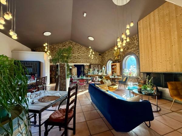 Maison en pierre à vendre 10 pièces ,appart.132 m2 ,surface annexe 314 m2 + Piscine et Bassin naturel