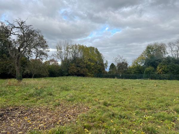 Magnifique terrain à bâtir - Saint pierre Azif (14950)