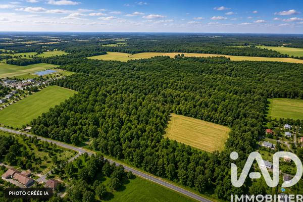 Terrain à vendre 70 599 m² Saint-Savin