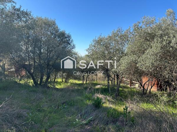 Grand terrain avec vue – Pignan