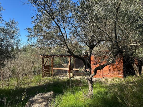 Grand terrain avec vue – Pignan