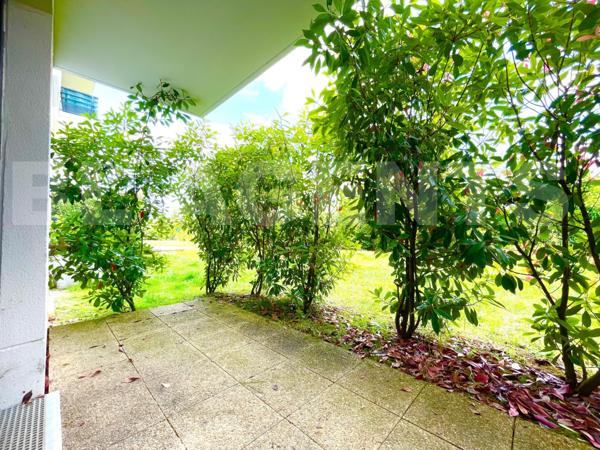 Studio avec terrasse sans travaux