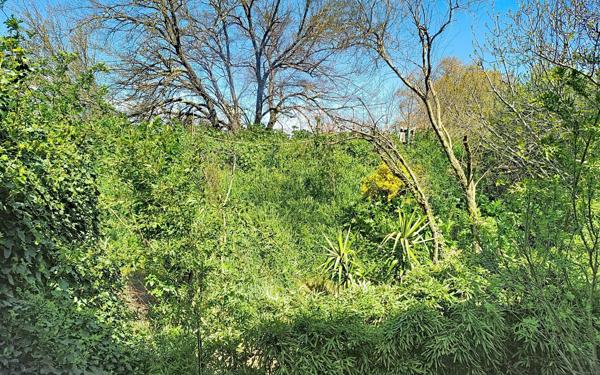 Appartement à vendre    4 pièces • 83 m2 Avignon