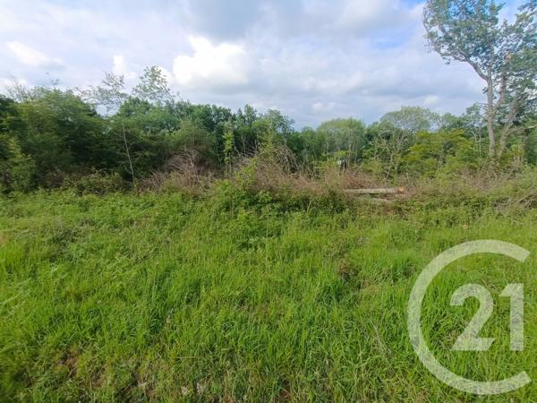 Terrain à vendre  2360 m2 CAPVERN - 65