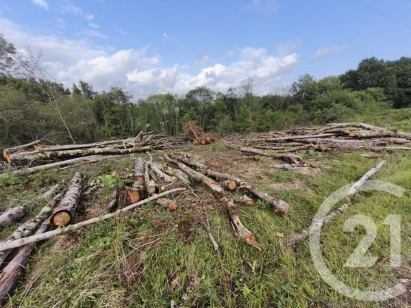 Terrain à vendre  2360 m2 CAPVERN - 65