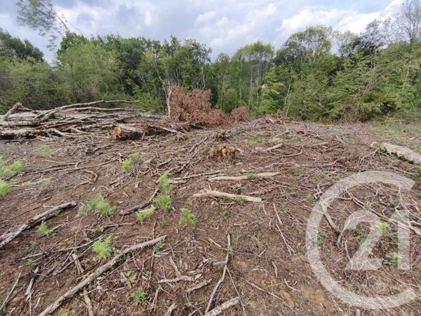 Terrain à vendre  2360 m2 CAPVERN - 65