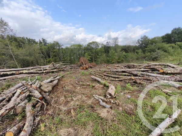 Terrain à vendre  2360 m2 CAPVERN - 65