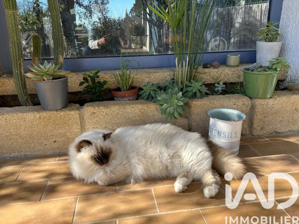 Maison à vendre 6 pièces 131 m² Saint-Maximin