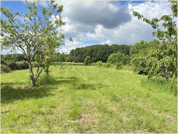 FRIAIZE (28) Maison de plain pied, Surface habitable 160 m², 5 chambres, terrain 4003 m²