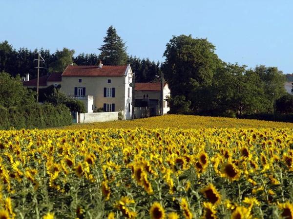 Superbe manoir rénové avec 4 gîtes