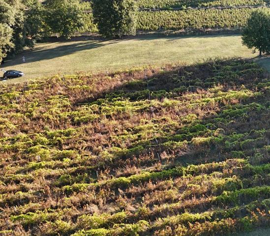 Terrain constructible à CAILLAC, 7000 m²