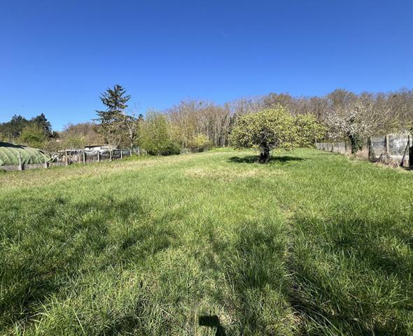Terrain Chissay En Touraine - 2 155 m2