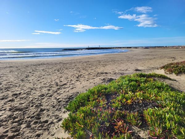 Mauguio (34130) Appartement de type 3 à Carnon Plage