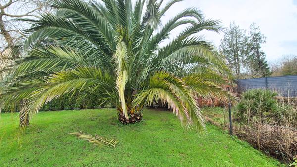 Gouesnach (29950) Gouesnach -Maison récente de 6 pièces principales sur 1151 m²