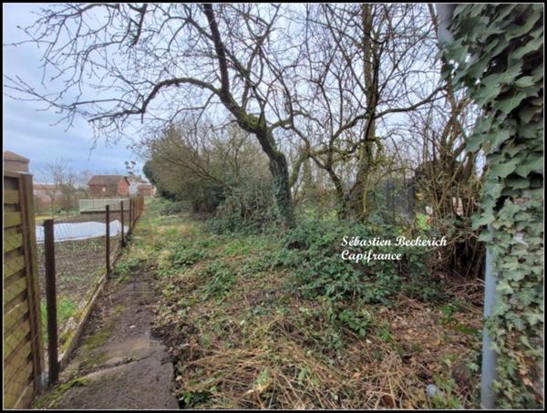 Dpt Moselle (57), à vendre SARRALBE maison P6 + Studio ou local