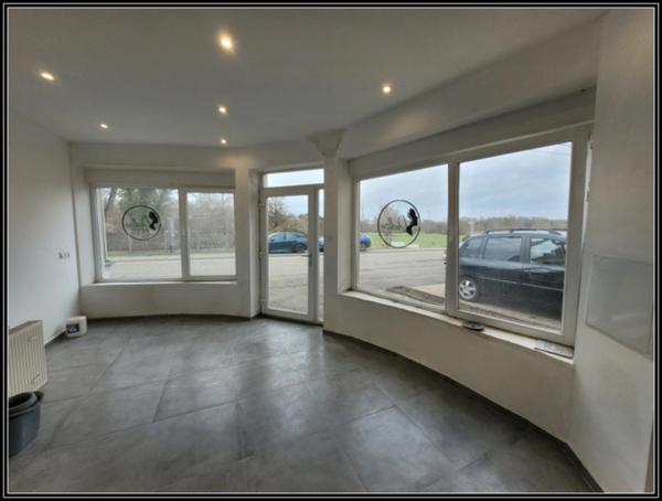 Dpt Moselle (57), à vendre SARRALBE maison P6 + Studio ou local