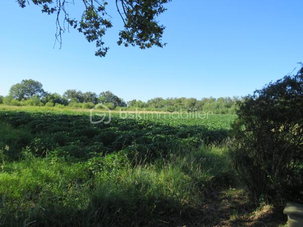 Dpt LANDES (40), à saisir ce plain-pied situé proche d'Aire sur Adour sur un Terrain clos et arboré de 2000 m²

Sur la commune de DUHORT-BACHEN cette jolie maison contemporaine et lumineuse  de 1989 vous offre :  

un Bel espace de vie très lumineux donnant sur sa terrasse avec son poêle à bois récent, une cuisine équipée moderne et ouverte sur le salon, 3 chambres (dont 2 avec placard), 1 salle de bain avec douche Italienne et double vasque, un grand cellier buanderie et  un WC séparé. 
Un garage double de 50 m² et un abris bois complète ce lot.
Terrain clos, arboré et entretenu de plus 2000 m².

Coté technique on y trouve une  clim réversible, un poêle à bois, VMC, des baies vitrées, Double vitrage, volets roulants électriques, un toit en bon état avec une isolation récente à 1 € et un assainissement non collectif.

Océan / montagne à 1H15 minutes de route…

Si vous rêvez d'un havre de paix, au calme pour poser vos valises, c'est incontestablement ici...

 A visiter sans tarder, Affaire à saisir, travaux récents de rénovation intérieure……

Contactez Frédéric pour organiser une visite