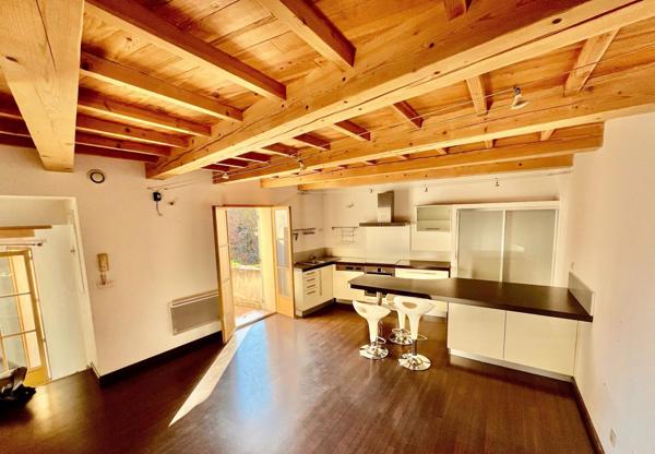 BEL APPARTEMENT DANS UN ENVIRONNEMENT ARBORE EN PLEIN CENTRE HISTORIQUE