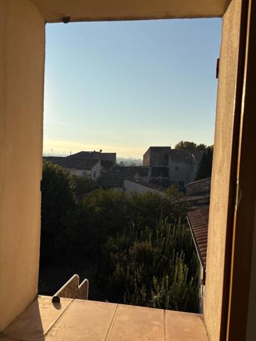 BEL APPARTEMENT DANS UN ENVIRONNEMENT ARBORE EN PLEIN CENTRE HISTORIQUE